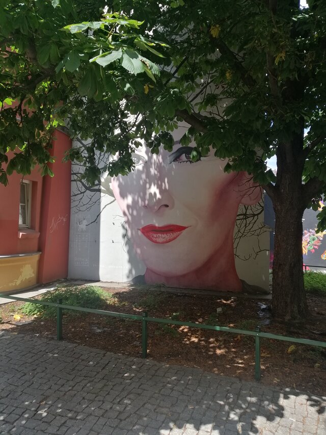 PoznanskiSpleen