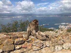 IMG_2737.jpg