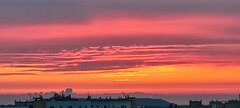 IMG_20220608_210229.jpg
