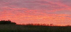 20220609_213306.jpg
