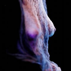 0480.jpg
