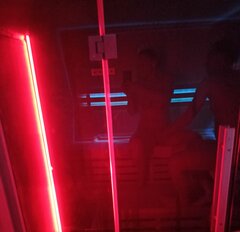 IMG_20220611_084656.jpg