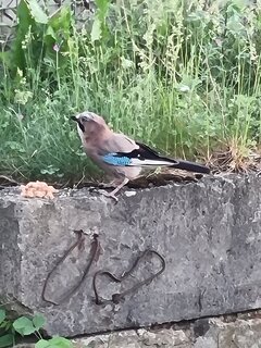 20220611_180024.jpg