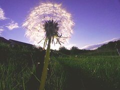 49efb5e987c14481ae247f9d61beb08a.0.jpg