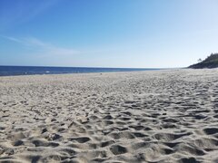 IMG_20220612_075331.jpg