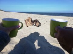 IMG_20220612_080100.jpg