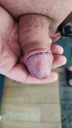 IMG_20220612_082617.jpg