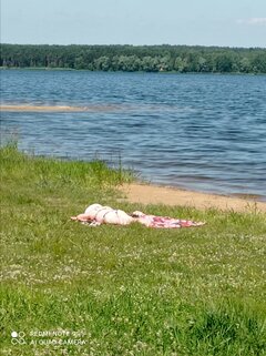 IMG_20220611_104338.jpg