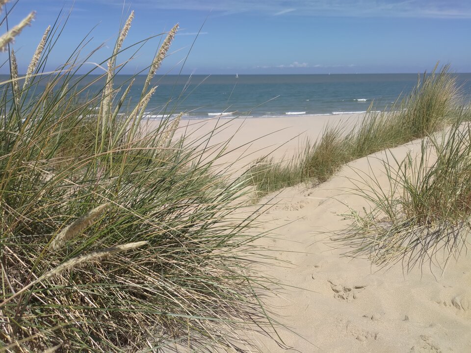 Nudist beach Bredene - Kinnkris
