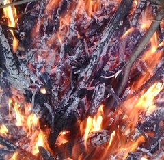 Ogień 🔥🔥🔥🔥🔥🔥🔥🔥🔥🔥🔥🔥