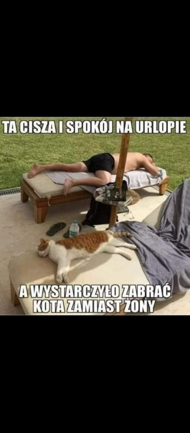 enrikko