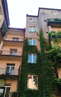 IMG_20220614_212100.jpg