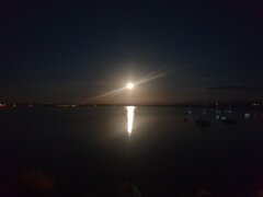 20220614_224909.jpg