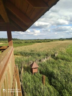 IMG_20220615_172932.jpg