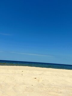 20220618_122844.jpg