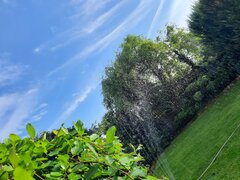 20220617_191349.jpg