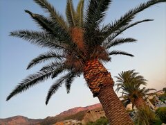 IMG_20220618_214246.jpg