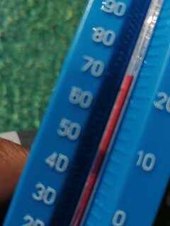 IMG_20220619_153546.jpg