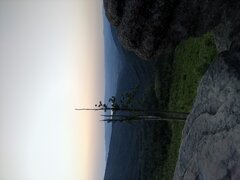 IMG_20220619_042636.jpg
