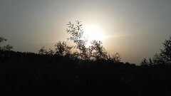 20220619_055833.jpg