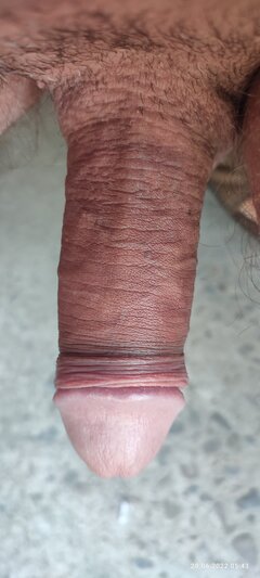 IMG_20220620_054357.jpg
