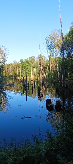IMG_20220618_185723.jpg