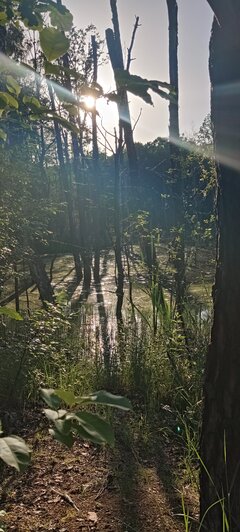 IMG_20220618_190051.jpg