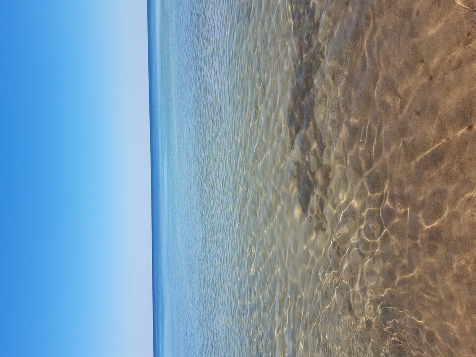 16560647838483976482763636639316.jpg - OnlyOnHigh