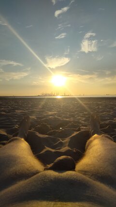 IMG_20220625_202325.jpg