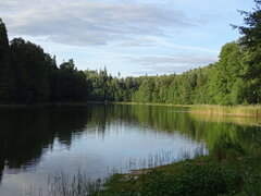 DSC00333.JPG
