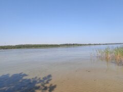IMG_20220626_091101.jpg