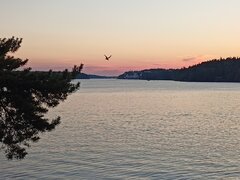 IMG20220625220942.jpg