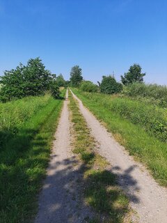 20220627_092831.jpg