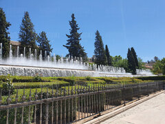 20220627_132909.jpg