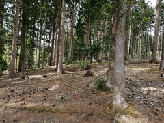 IMG_20220628_134831.jpg