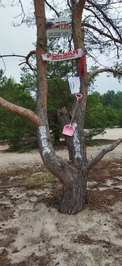 IMG_20220629_101558.jpg