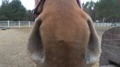 IMG_20220329_172813.jpg