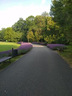 IMG_20220630_065450.jpg