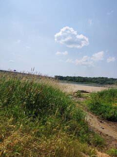 IMG_20220630_133057.jpg