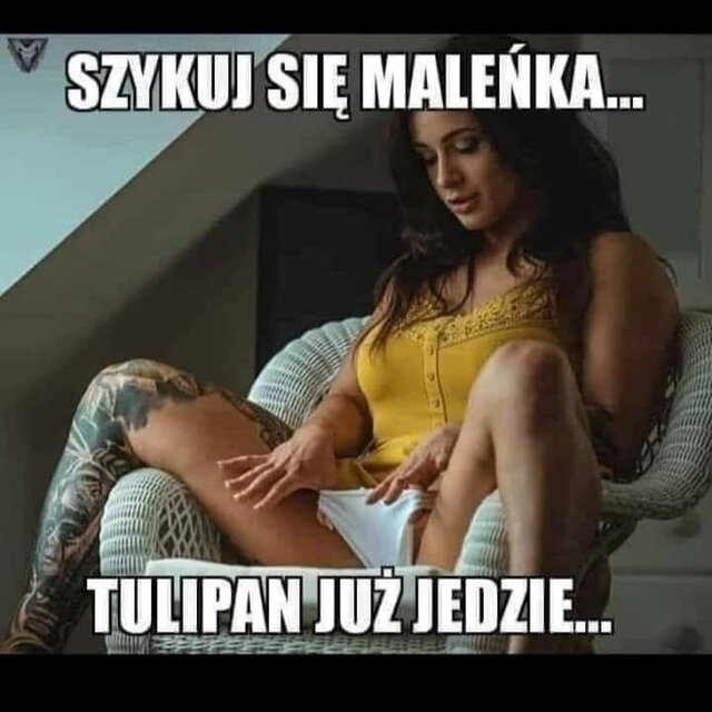 FB_IMG_1656636813493.jpg - Misiaczki9081