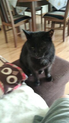 IMG-20220524-WA0000.jpeg