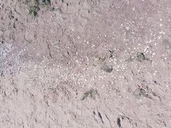 20220703_132714.jpg