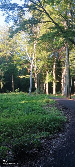 IMG_20220703_190640.jpg