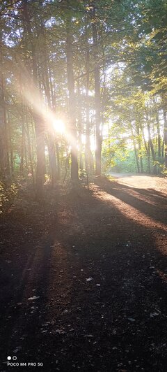 IMG_20220703_195732.jpg