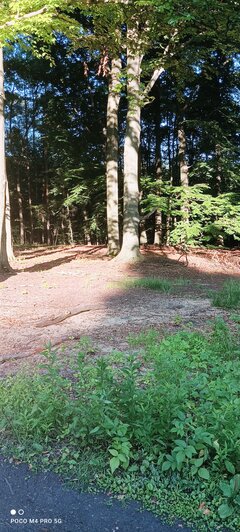 IMG_20220703_190759.jpg