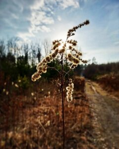 IMG_20220215_210341_261.jpg