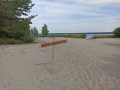 IMG_20220704_161456.jpg