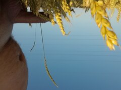 20220705_070243.jpg