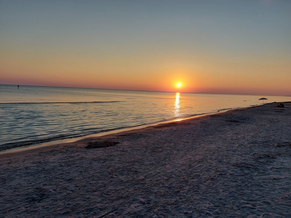 20210619_043407.jpg - Misiekgdy