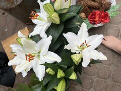 456C3278-CF97-4067-94BD-37A098E042DD.jpeg